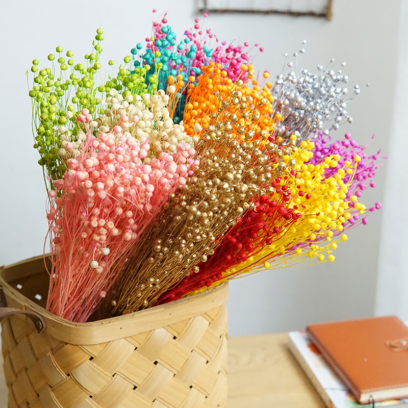 35g/Preserved Ormosia Hosiei N - Dried Flower Bulk review and price