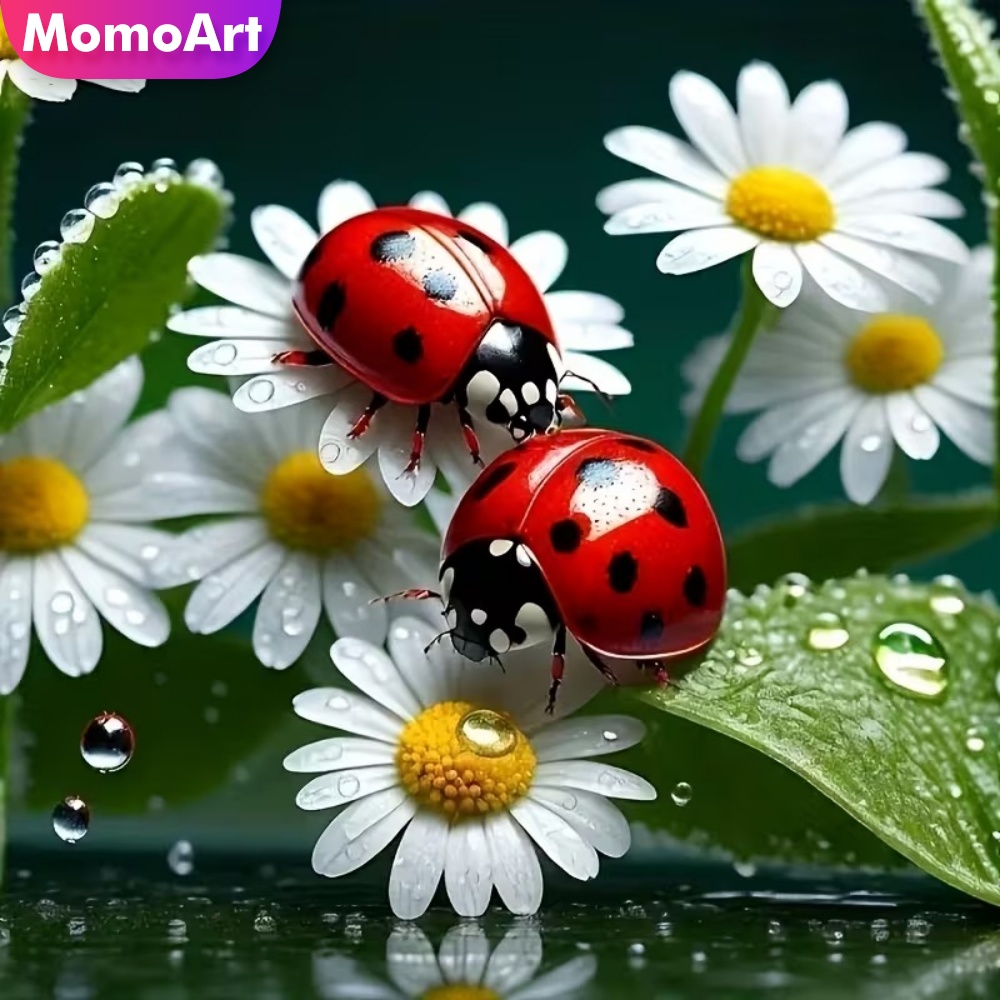 Momoart Diamond Painting Ladyb - Resin Craft For Beginners review and price