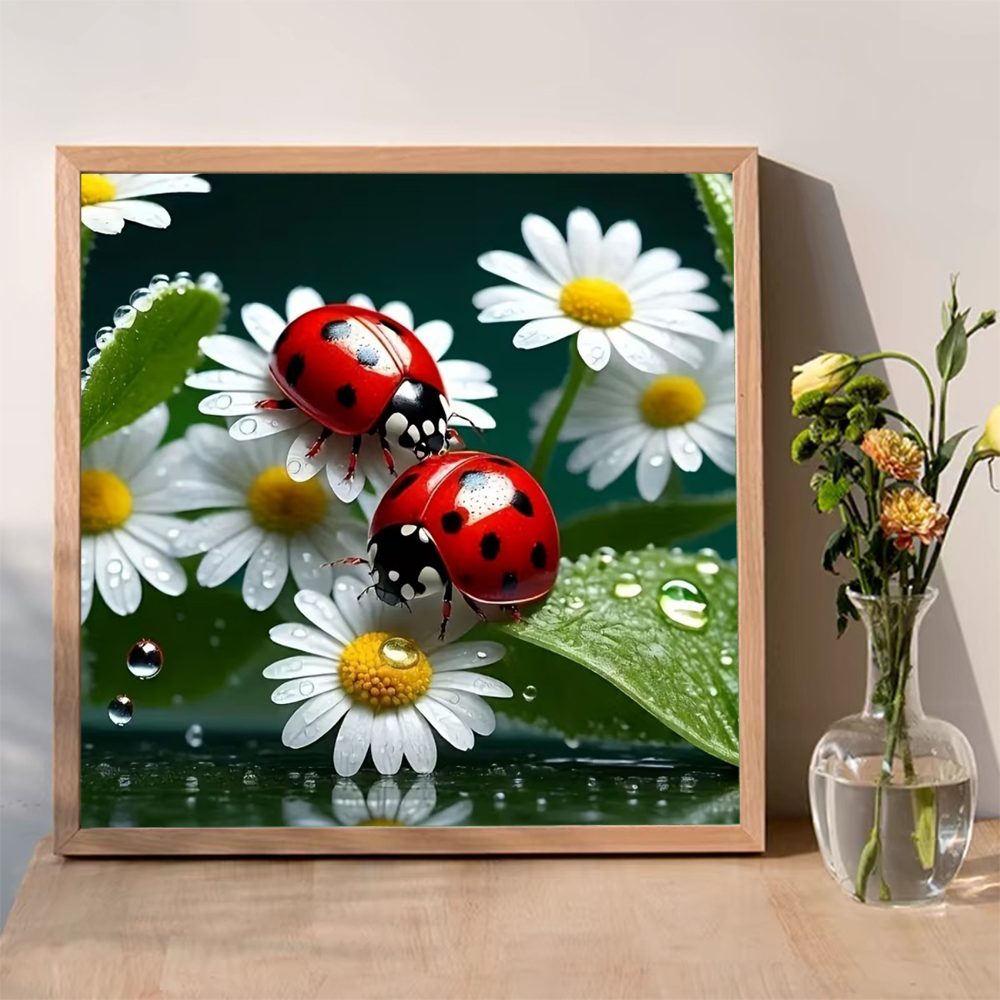 Momoart Diamond Painting Ladyb - Resin Craft For Beginners review and price