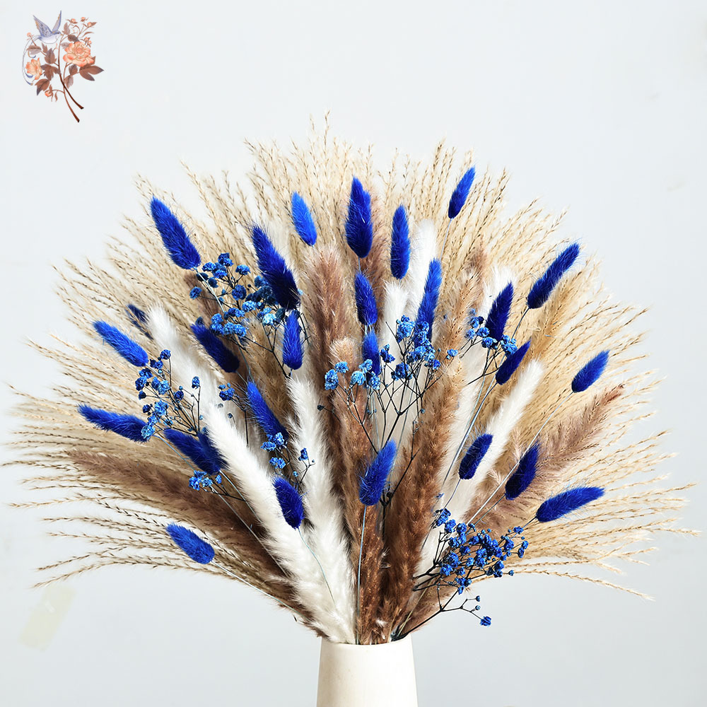 70 Stem Blue Fluffly Rabbit Ta - Dried Flower Bulk review and price