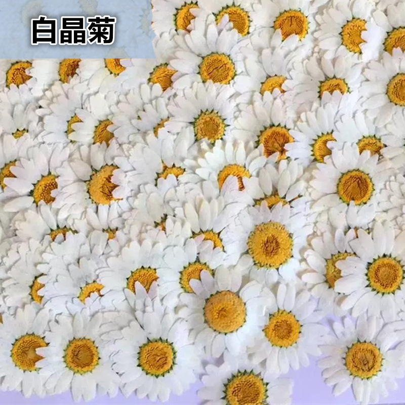 100Pcs Natural White Crystal C - Resin Craft Ideas review and price