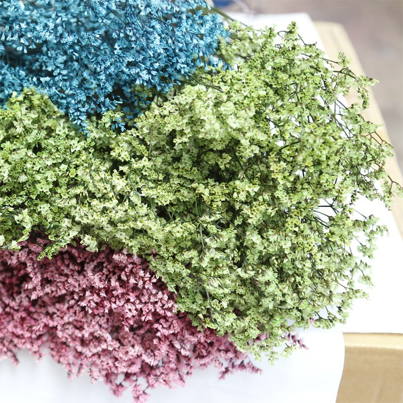 Natural Fresh Dried Preserved  - Dried Flower Bulk review and price