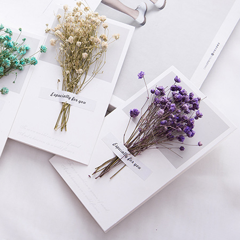 10pcs A Gift Card Wedding Invi - Dried Flower Bulk review and price