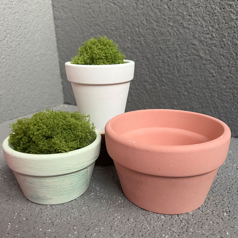Large Concrete Plant Pot Silic - Coaster Mold Round review and price