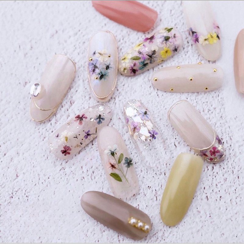 Mixed Small Dried Flowers Nail - Dried Flower Bulk review and price